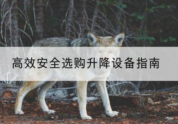 鹤庆升降货梯厂家推荐-*安全选购升降设备指南