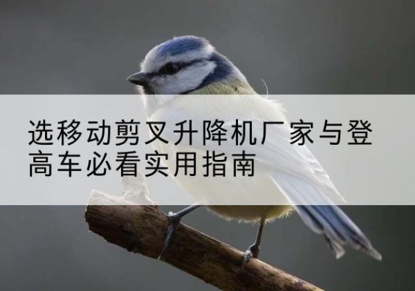 鹤庆电动升降机厂家-选移动剪叉升降机厂家与登高车必看实用指南