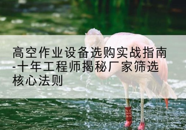 鹤庆剪叉式升降机厂家-高空作业设备选购实战指南-十年工程师揭秘厂家筛选核心法则